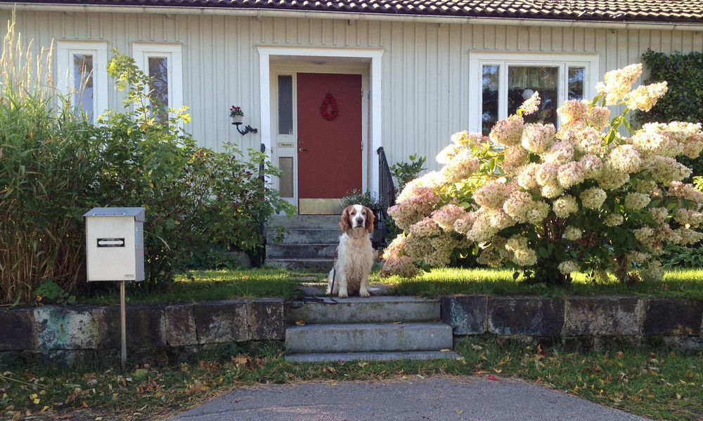 Tant Groen B&B Falun Exteriér fotografie